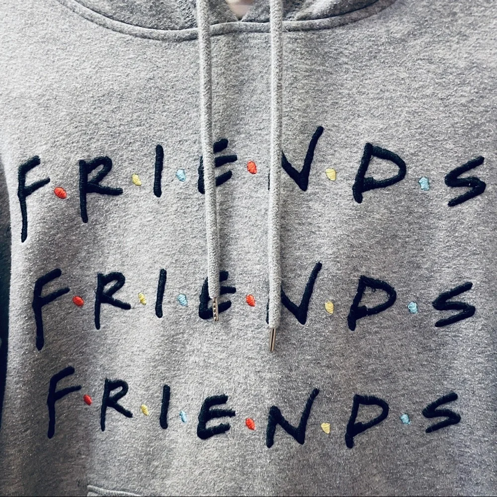 H&M Light Gray Warner Brothers FRIENDS embroidered Sweatshirt Hoodie Size L - Picture 7 of 11